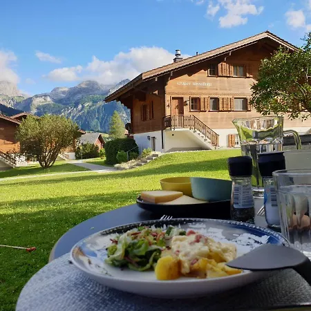 Spitzhorn - Your Peak Getaway - Private Terrasse & Gratis Parkplatz Appartement Gsteig